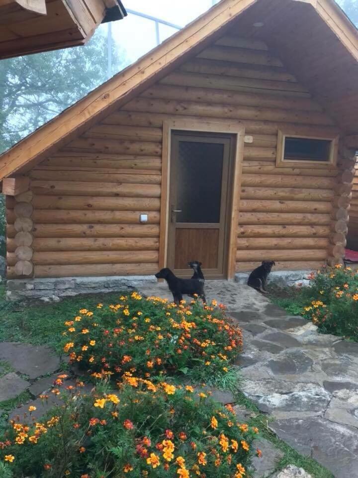 Harsnadzor Eco Resort Halidzor Bagian luar foto