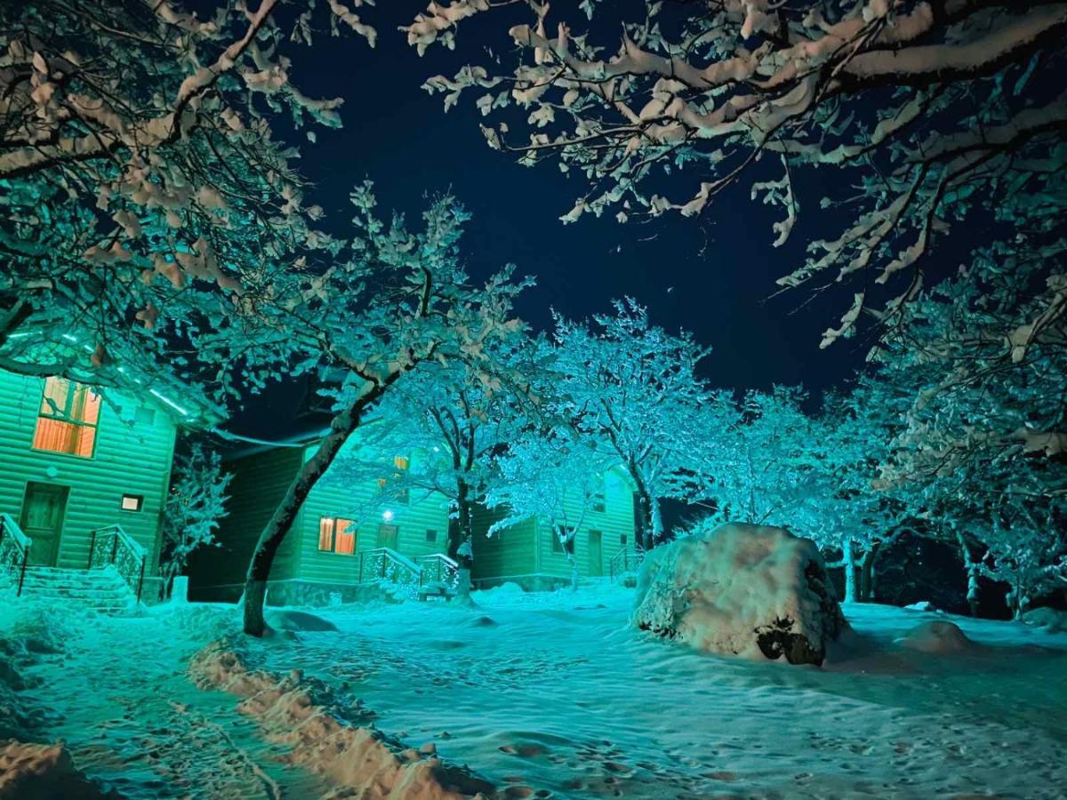 Harsnadzor Eco Resort Halidzor Bagian luar foto